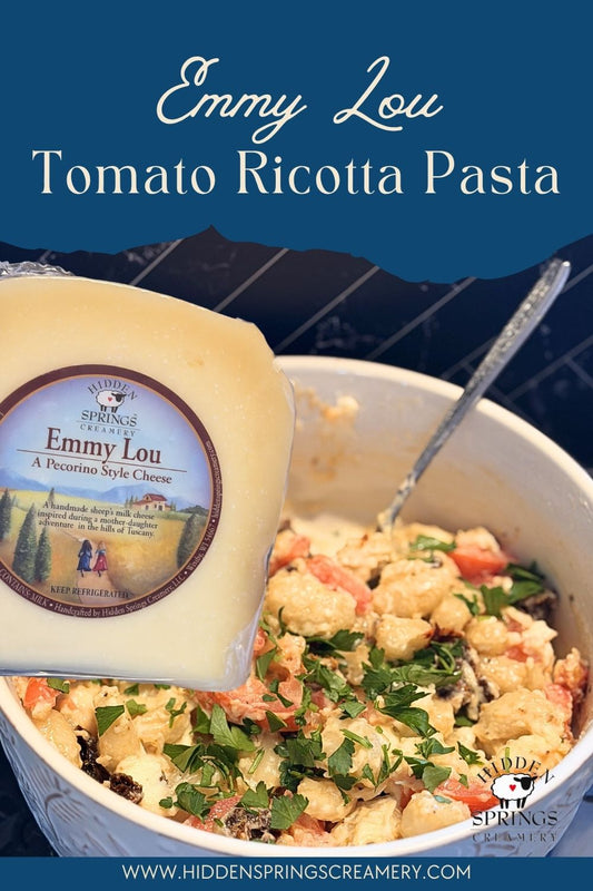 Creamy Tomato Ricotta Pasta with Emmy Lou