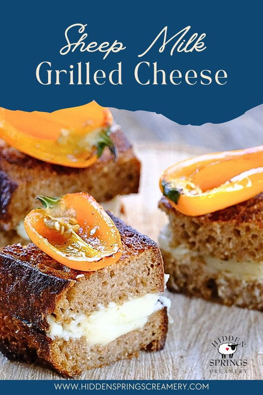 Grilled Cheese with Sheep Milk Cheese