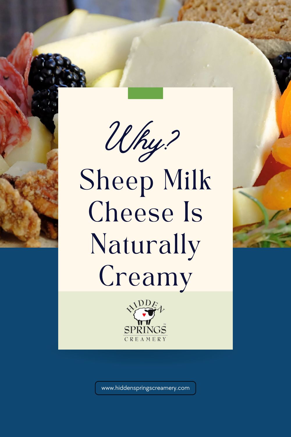 Why Sheep Milk Cheese Is Naturally Creamy