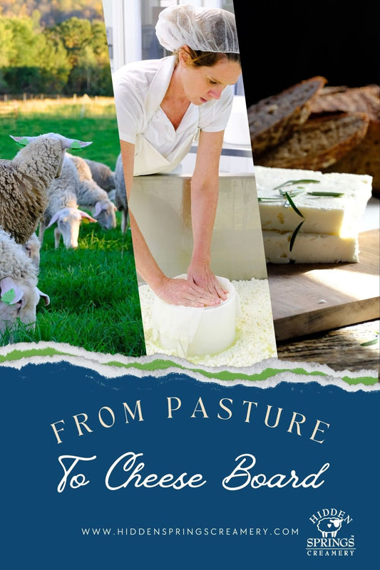 From Pasture to Cheese Board