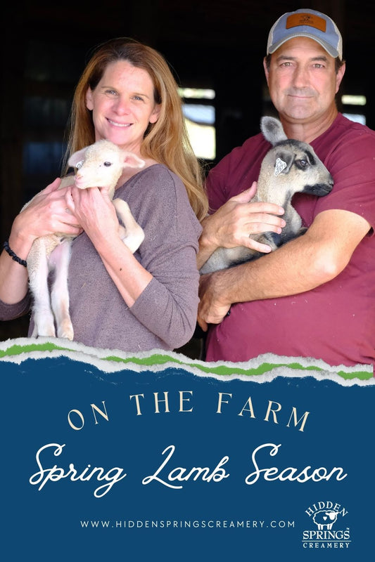 Spring Lamb Season on the Farm