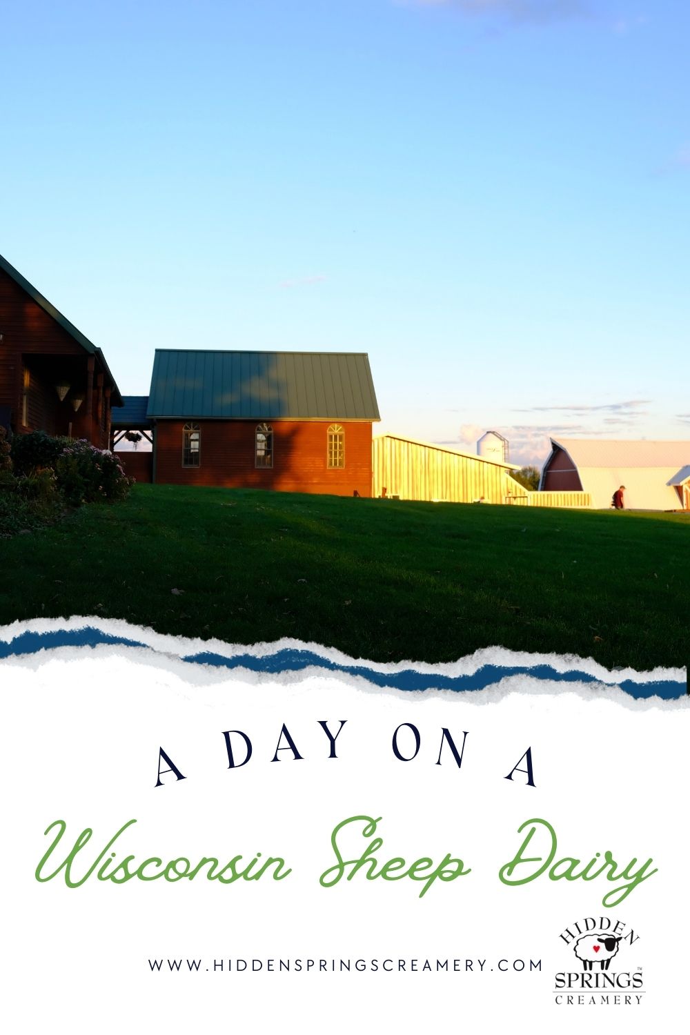 A Day on a Wisconsin Sheep Dairy