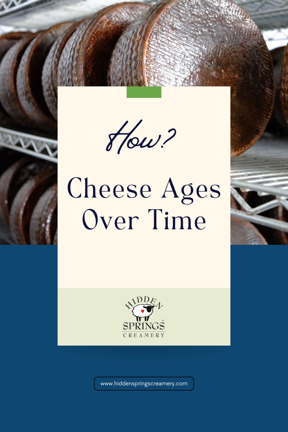 How Cheese Ages Over Time