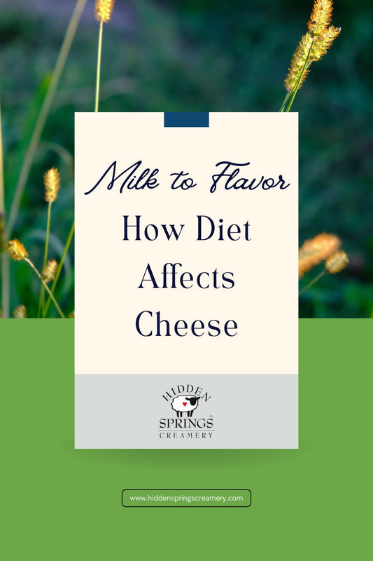 From Milk to Flavor: How Diet Affects Cheese