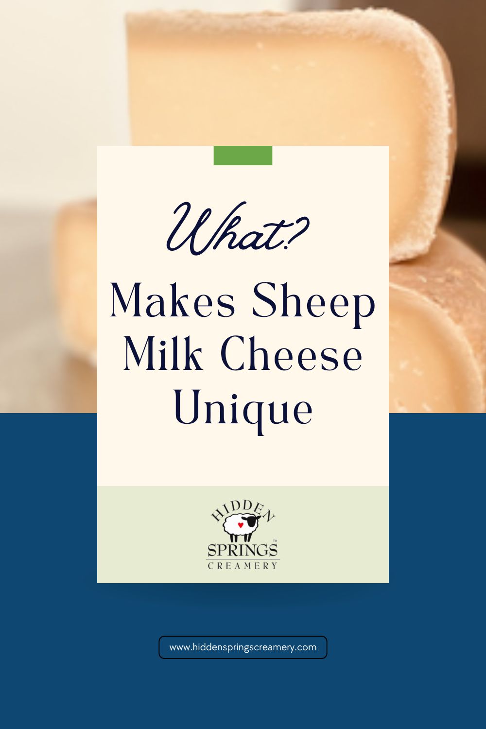 What Makes Sheep Milk Cheese Unique