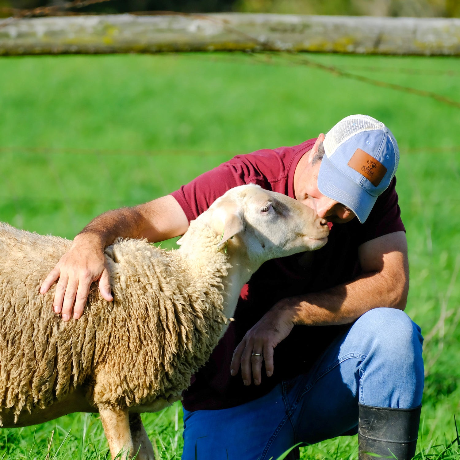 Man hugging a sheep in a grassy field with a wooden fence in the background